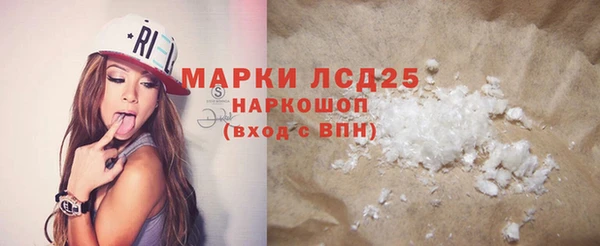 индика Гусь-Хрустальный