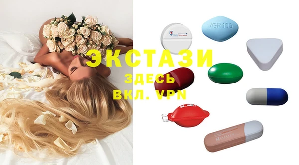 индика Гусь-Хрустальный