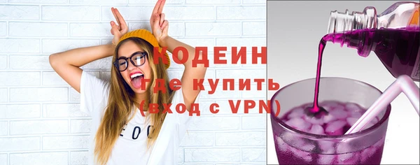 индика Гусь-Хрустальный