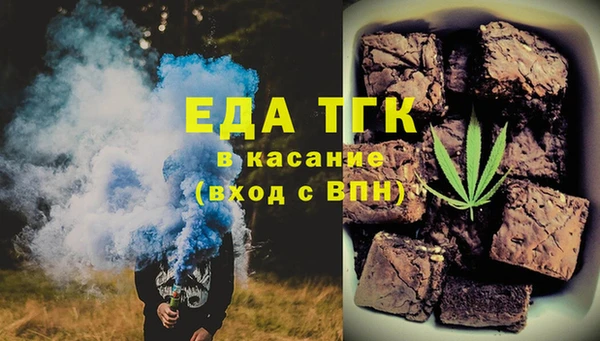 индика Гусь-Хрустальный