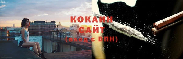 индика Гусь-Хрустальный