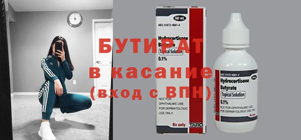 индика Гусь-Хрустальный