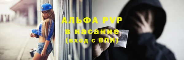 винт Гусиноозёрск