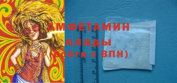 индика Гусь-Хрустальный