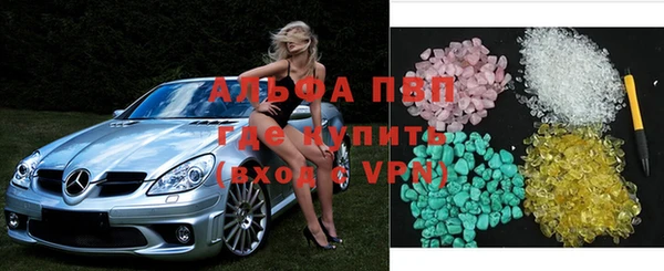 индика Гусь-Хрустальный