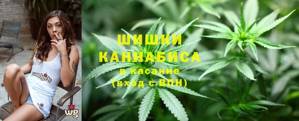 индика Гусь-Хрустальный
